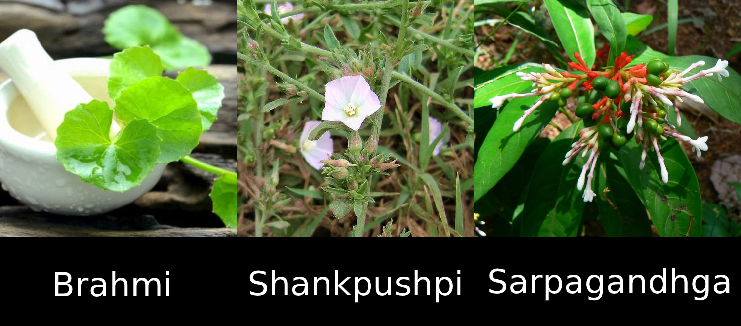 3 Ayurvedic Herbs that induce Sleep Part 1